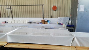 PHOTO_20230527_165317